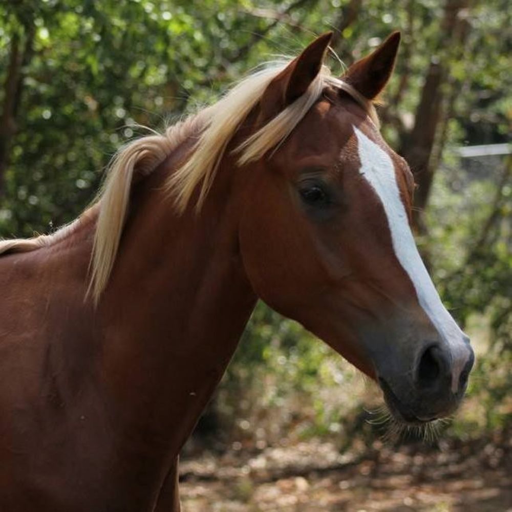 Meet your Posher, Maryann